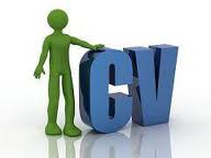 Office Manager CV Sample download
