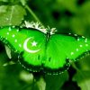 14 August Pakistan Flag Wallpapers Free Download HD