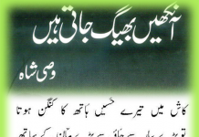 Wasi Shah Poetry Books Name List