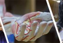 Dow University of Health Sciences Karachi Diploma Courses List Dow University of Health Sciences Karachi Diploma Courses List
