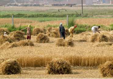 Essay on Village Life in Pakistan For 10th Class, 2nd Year