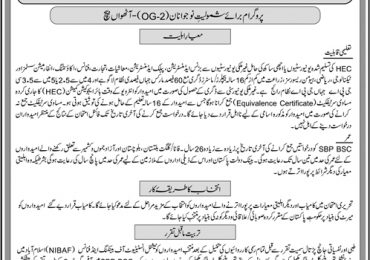 State Bank SBP Young Induction Program 2019 OG 2 Officers NTS Form, Last Date