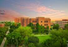 Best School in Lahore Best Government School in Lahore List