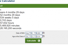 Age Calculator For CSS 2020