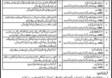 Pakistan Edification Services Jobs 2019 Apply Online pespk.org Jobs