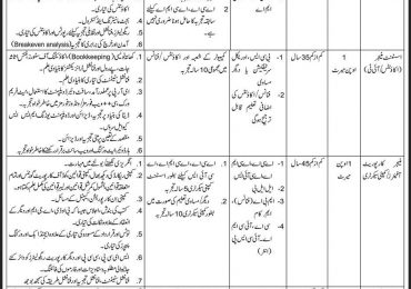 WAPDA Islamabad Jobs 2018 Application Form Advertisement
