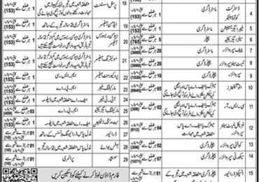 STS Jobs 2019 Advertisement Success Testing Services Application Form