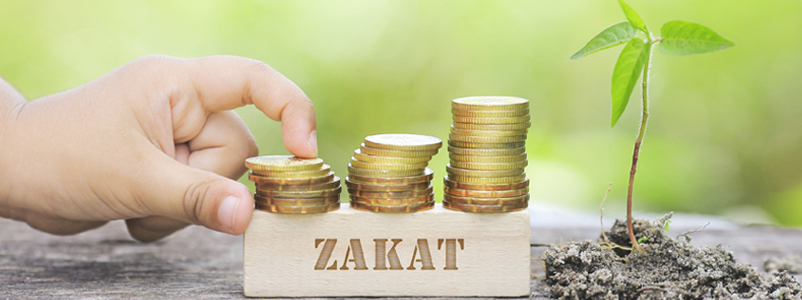 Zakat Nisab 2020 Pakistan State Bank Cash Gold