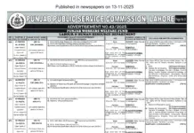 PPSC Educator Jobs 2025 Punjab PPSC Educator Jobs 2025 Punjab