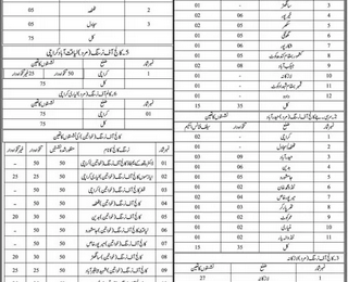 Directorate Of Nursing Sindh Karachi Admission 2025