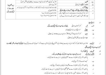 Pakistan Rangers Sindh Soldier Jobs 2025
